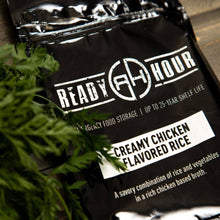 Load image into Gallery viewer, $10 Special 72-Hour Kit - Sample Pack (16 servings)