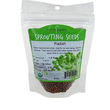 Load image into Gallery viewer, Organic Radish Sprouting Seeds (4 ounces)