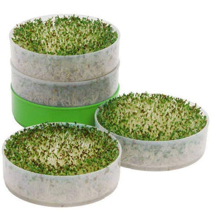 Deluxe Kitchen Crop & Seed Sprouter Trays