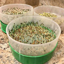 Load image into Gallery viewer, Deluxe Kitchen Crop &amp; Seed Sprouter Trays
